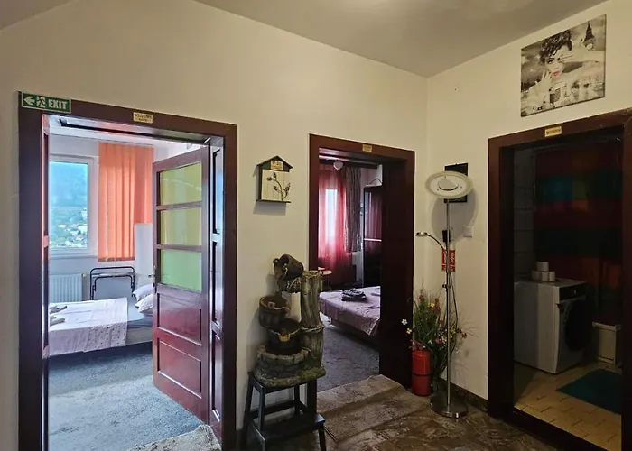 Paul Panoramic View Over Medieval Historical Centre * Brasov